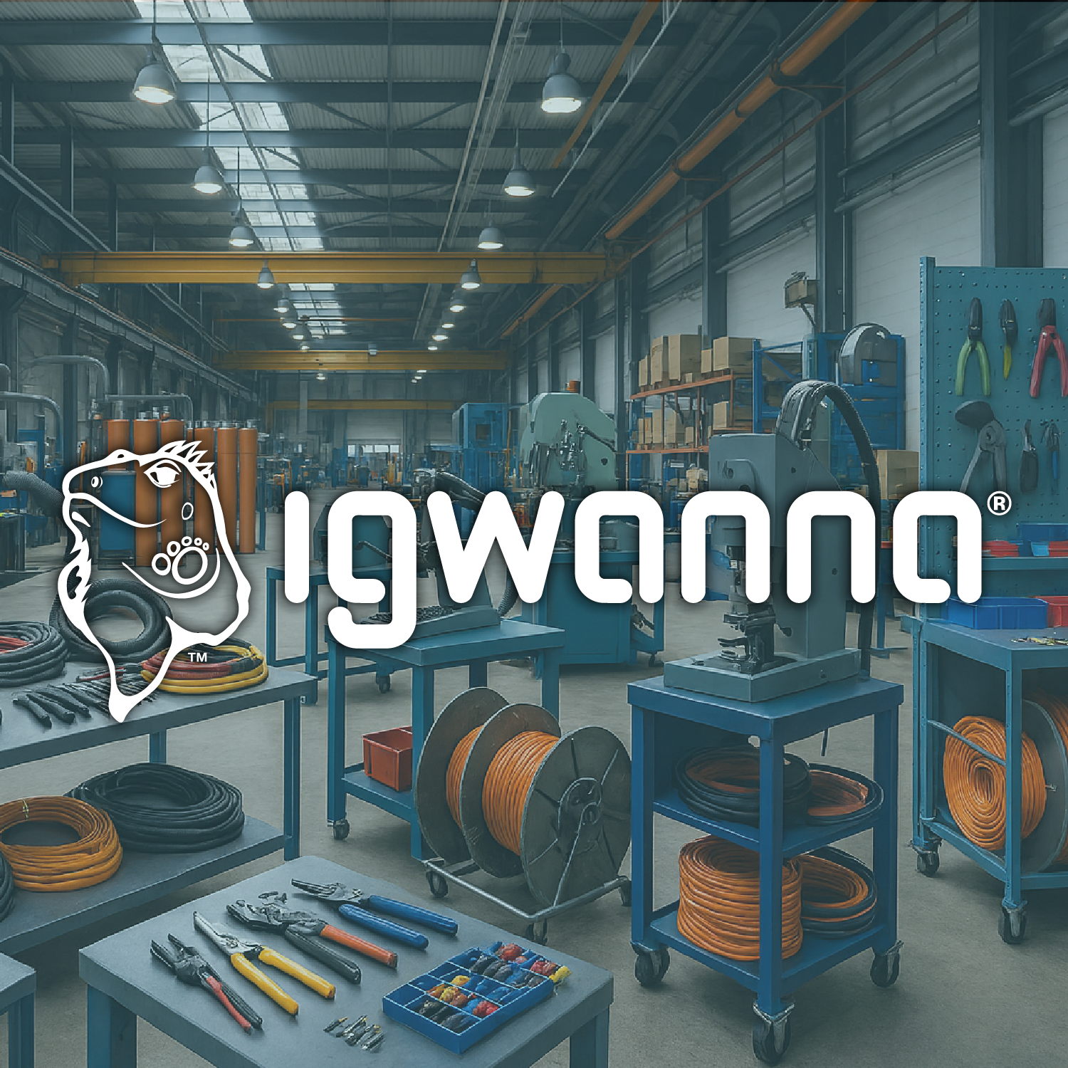 IGWANNA BRANDS
